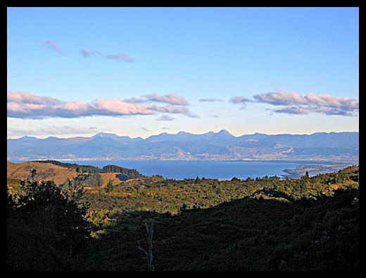 Tasman bay